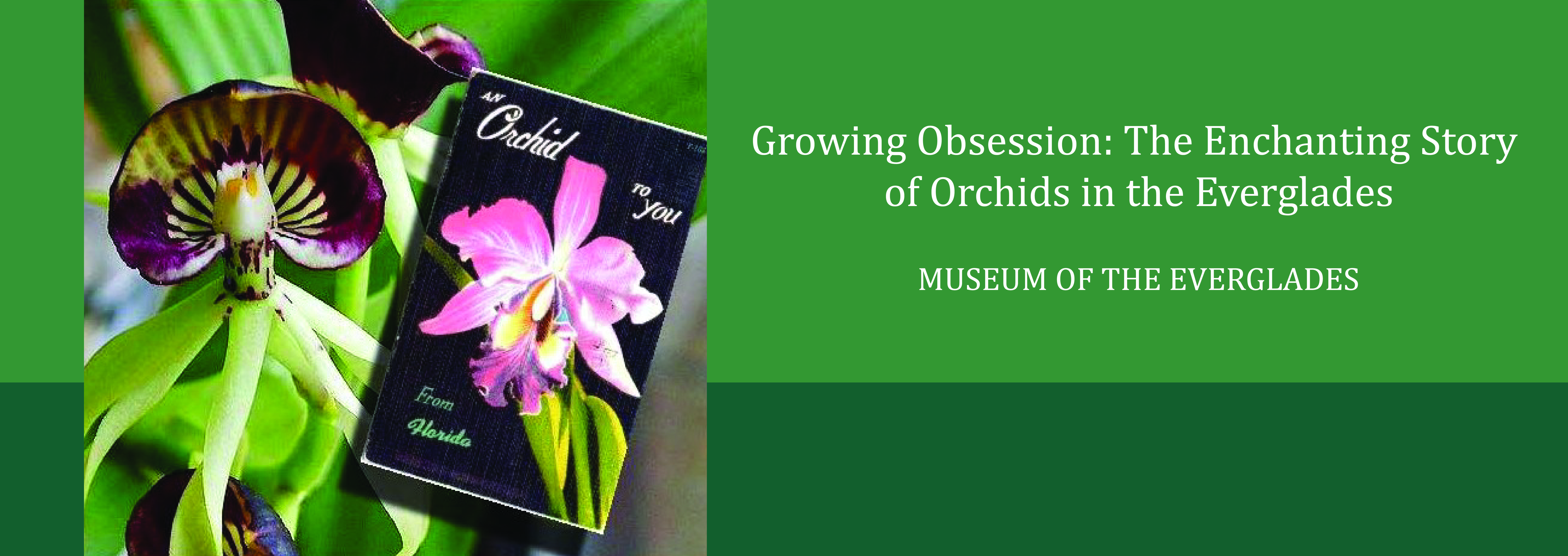 Growing Obsession.jpg