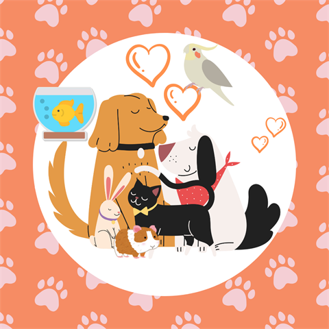 221-Love-your-Pet.png