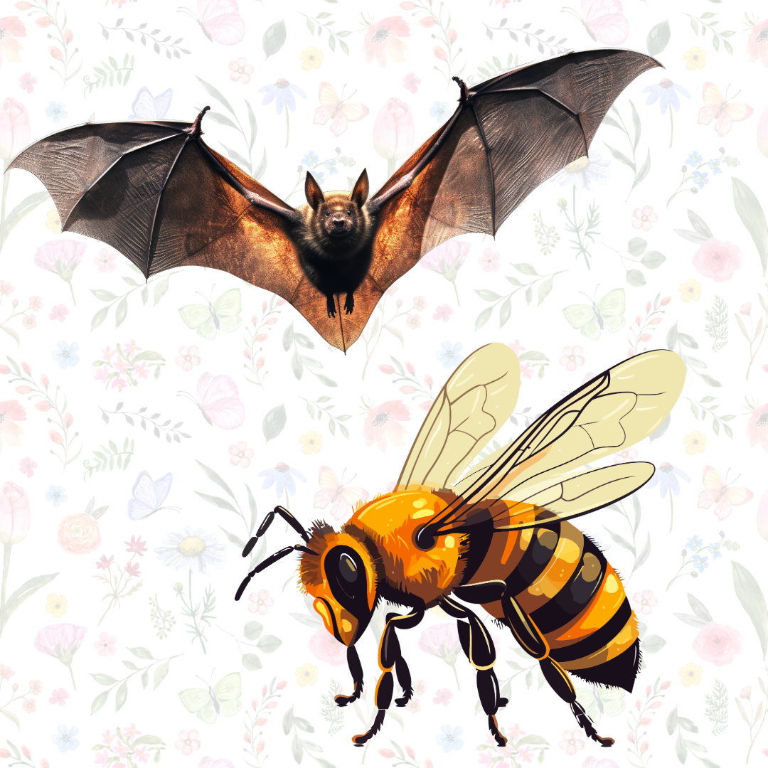 Batty Bee Preschool Program: Batty for Bees - Collier County Museums