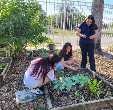 cultivate gardening- Girls gardening.jpg